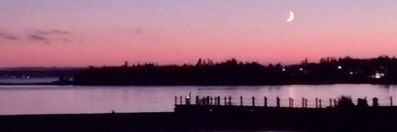 C2883 ➡️ toysergal.bsky banner