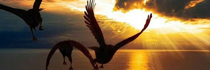 skiga's profile banner image