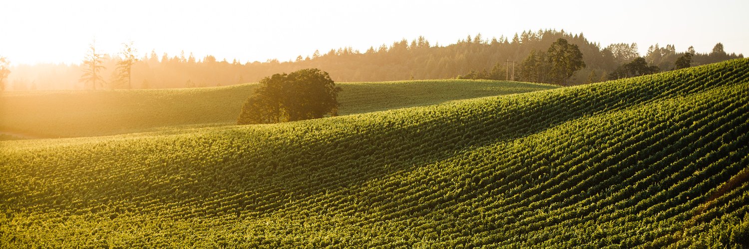 Eola Hills Wine Cellars banner