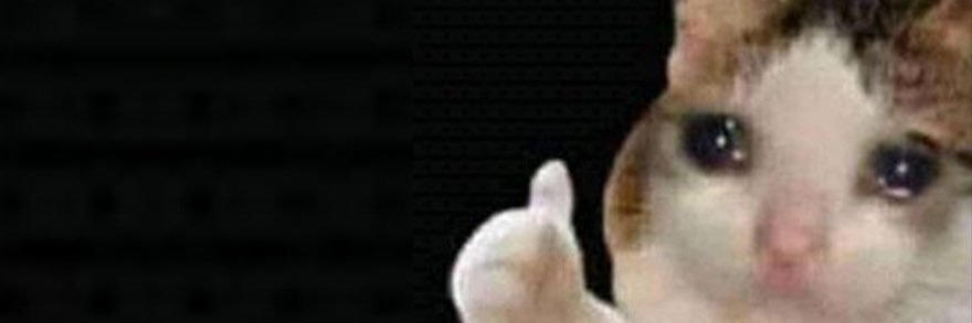 catsnstrats's profile banner image