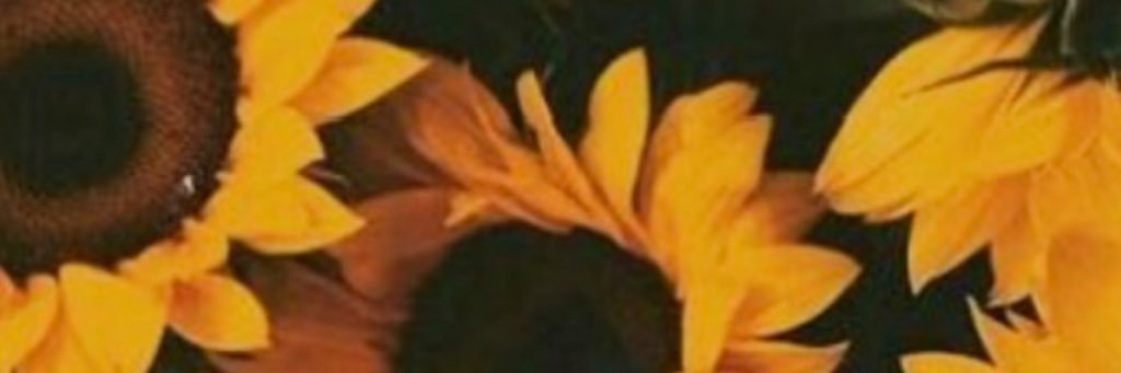 thereal_eh's profile banner image