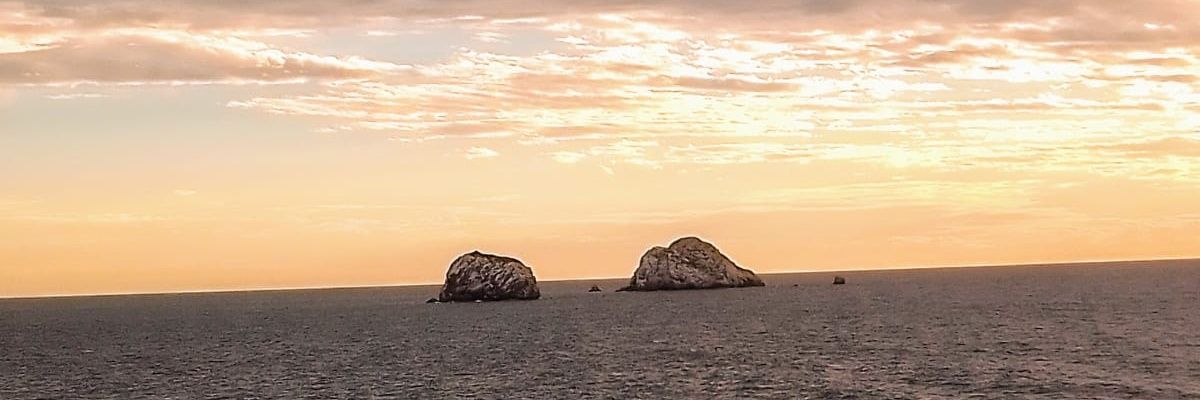 rt_jartur's profile banner image