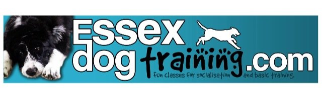 TrainingEssex's profile banner image