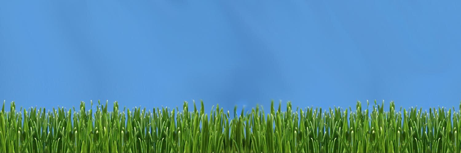 sataie's profile banner image