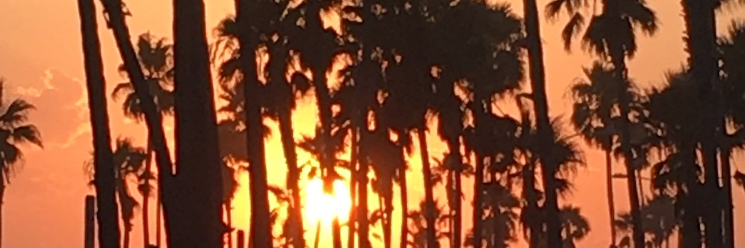 MyRabbi53's profile banner image