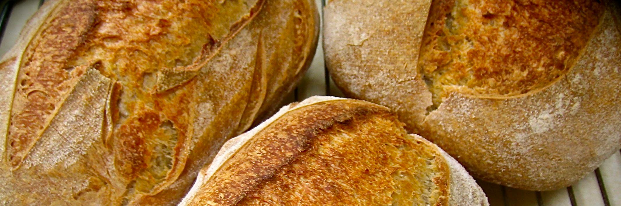 Companions RealBread banner