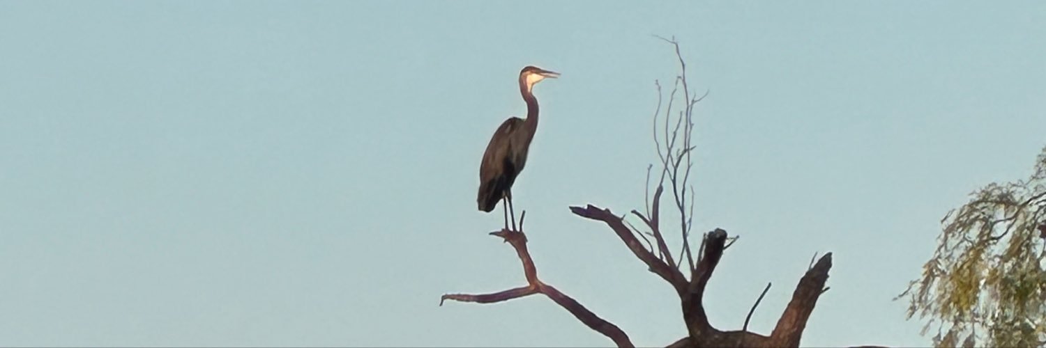 ingwathangut's profile banner image
