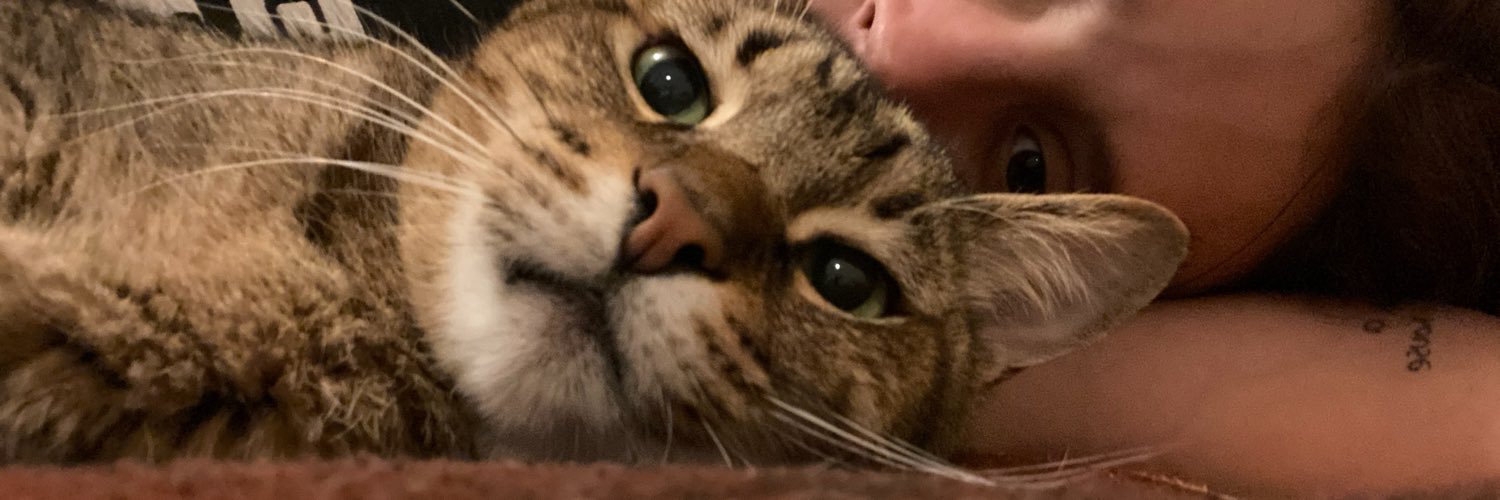 libeertt's profile banner image