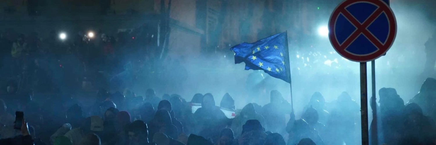 United National Movement (ენმ) banner