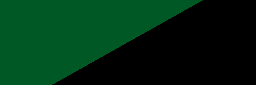 AMNCollective's profile banner image