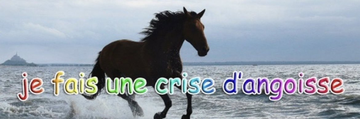 _ntlvn's profile banner image