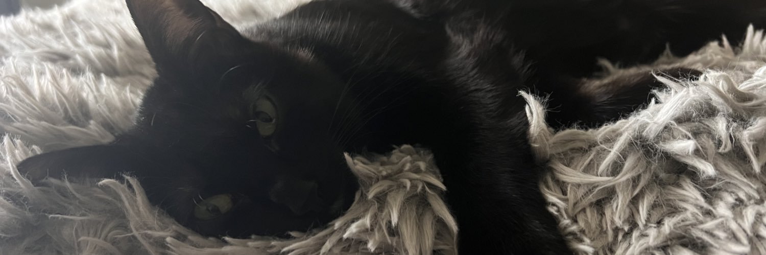 Courtney James 👩🏻‍🦰🏳️‍🌈🌺 banner