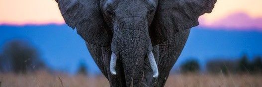 _ayeeskayy's profile banner image
