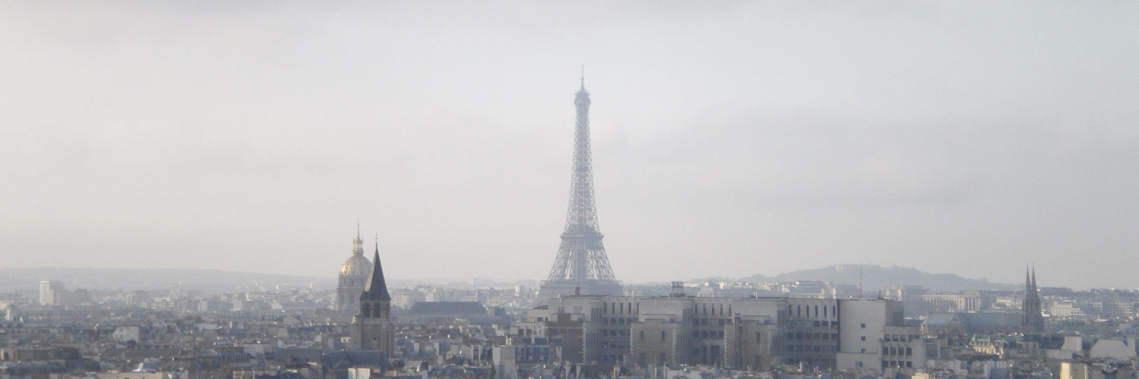 Alecia Dantico banner