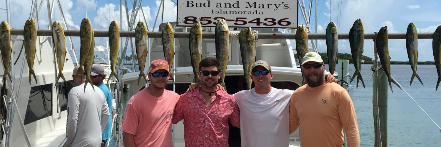 mitchlong54's profile banner image