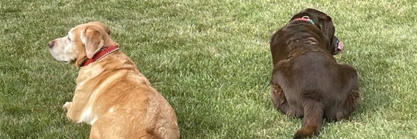 fintrojansports Profile Banner