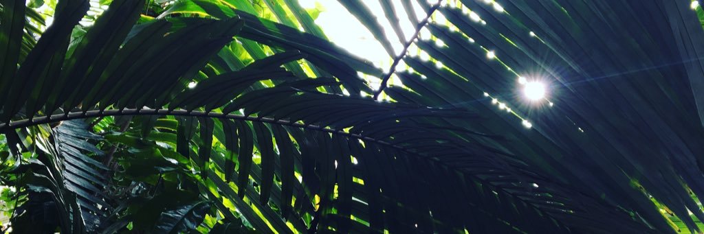 AnnaRapson's profile banner image