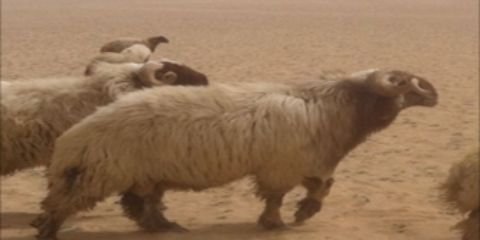 mohammed2y's profile banner image