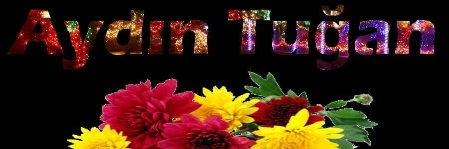 kerimoglu123451's profile banner image