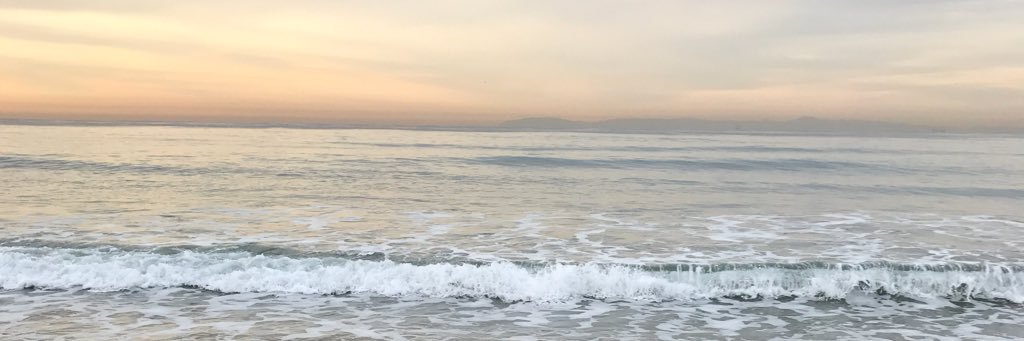 GingerMermaidd's profile banner image