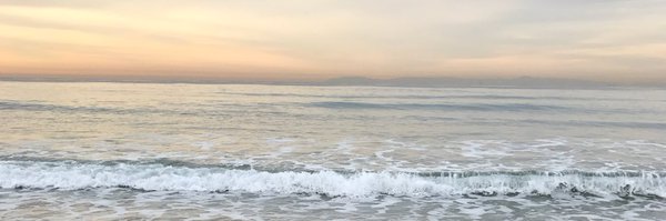 GingerMermaidd Profile Banner