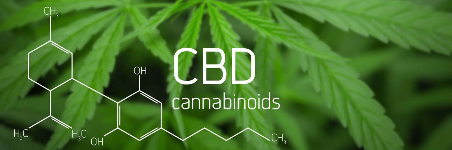 Conley Michele Wortman banner