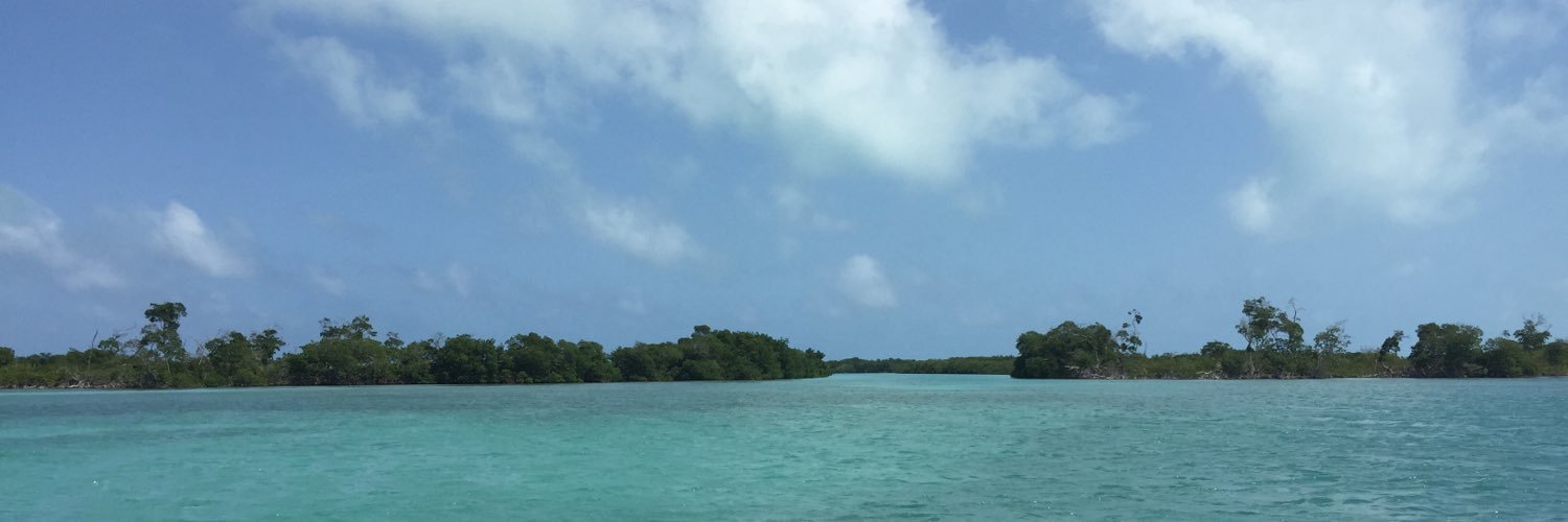 Honking Moosehead banner