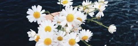 mnr_cicek's profile banner image