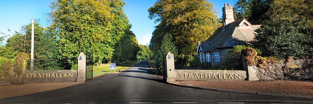 Strathallians banner