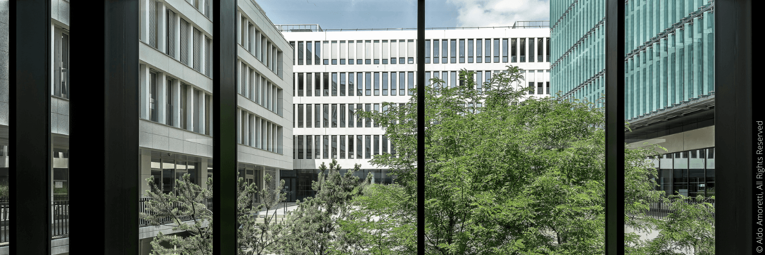 Frank Debouck banner