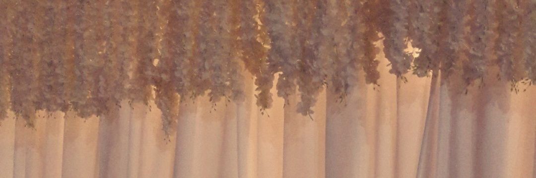 noarh_soud's profile banner image