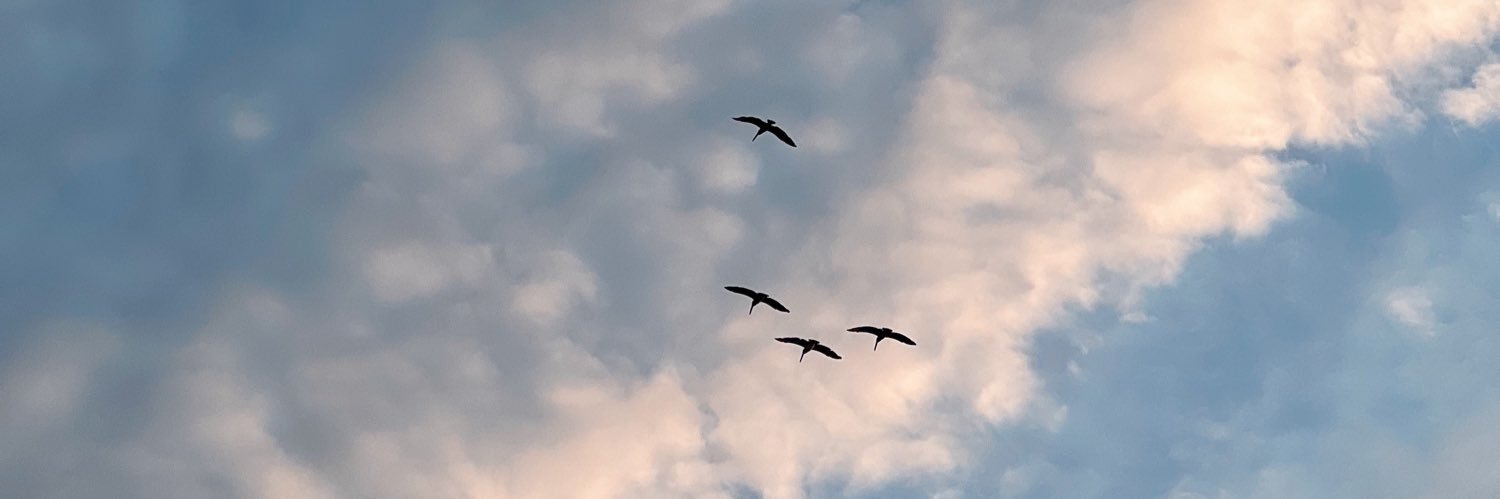 Anapena27's profile banner image