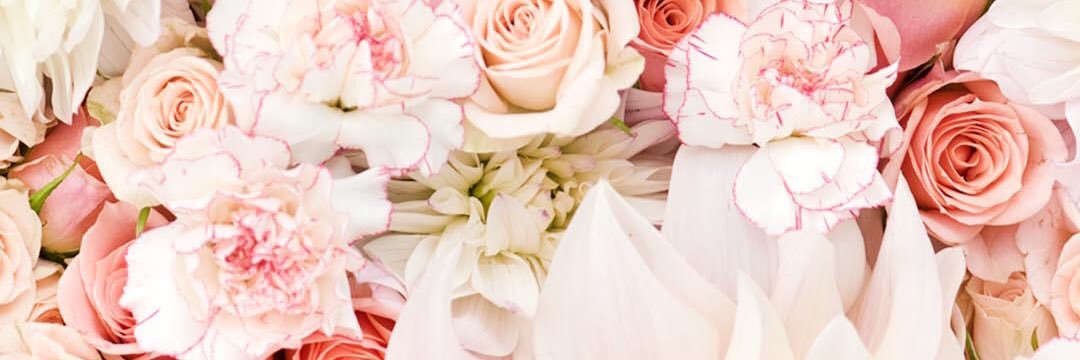 Maria Angeles♥ banner