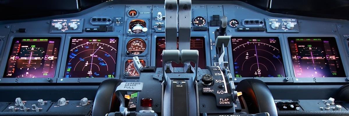 Flight Director banner