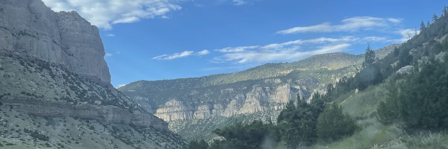 Savvg3D3mon's profile banner image