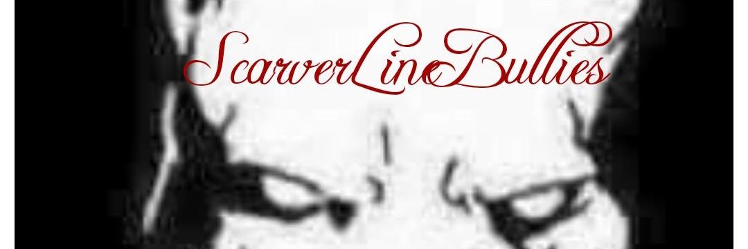 ScarverLine's profile banner image