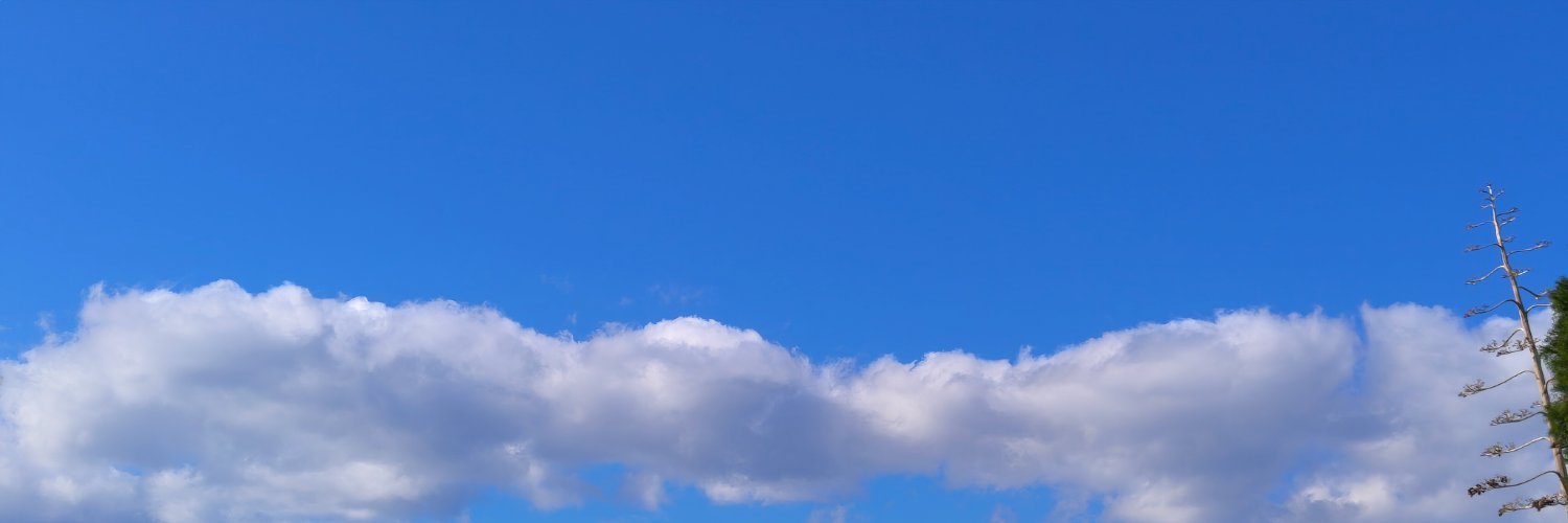 🏴‍☠️ banner