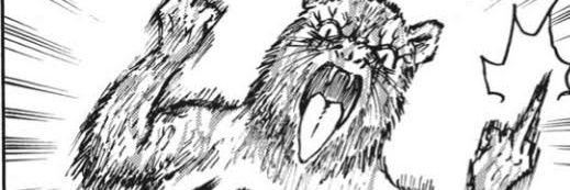 info_correct_'s profile banner image