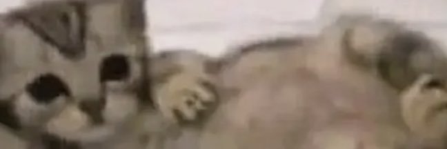 Jennthatsozall's profile banner image