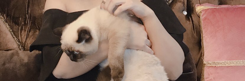 MissEmd's profile banner image