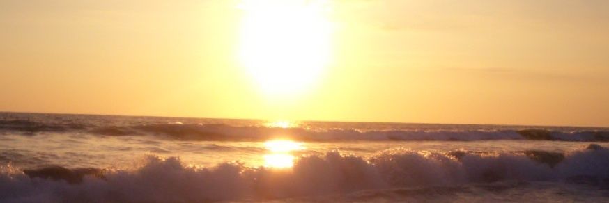 Ma_Elizabeth88's profile banner image