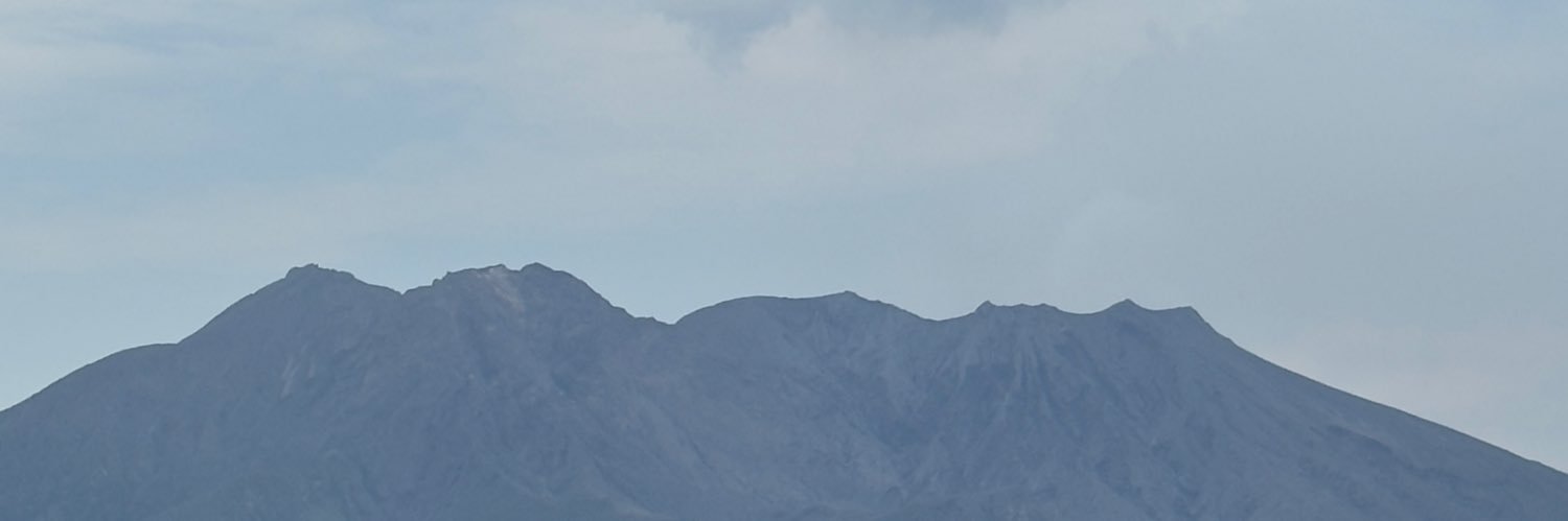 sysrena's profile banner image