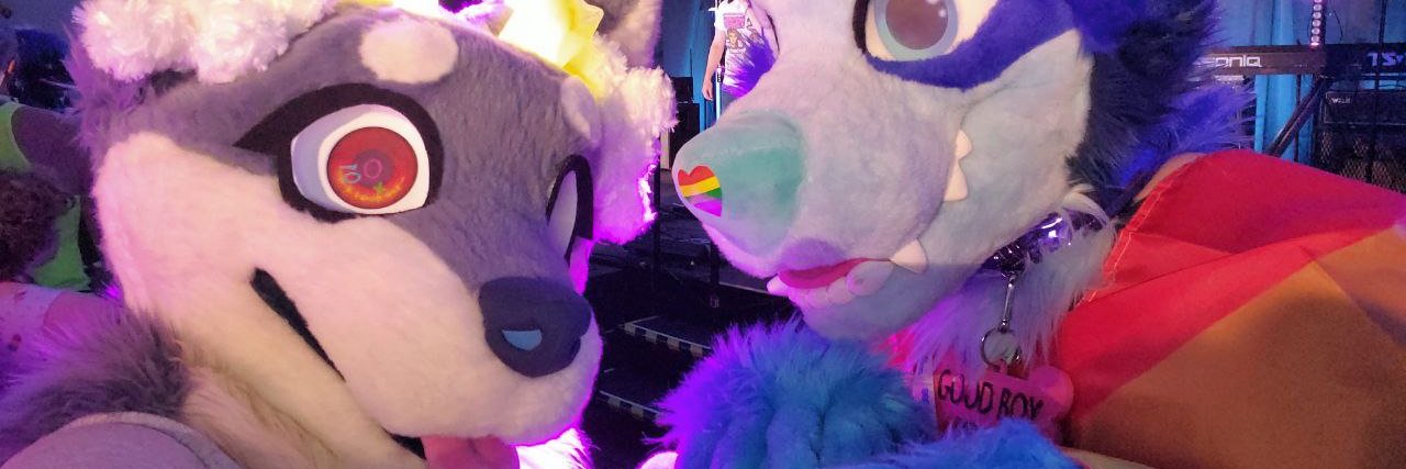 _weatherdog's profile banner image
