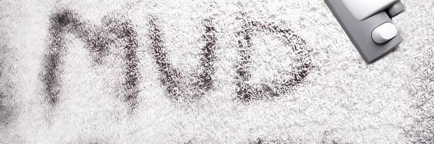 abaclean1's profile banner image