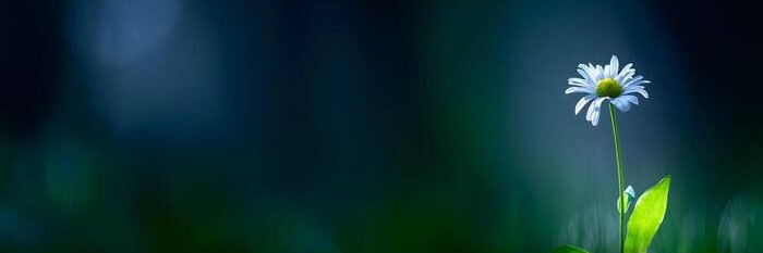 bypsix's profile banner image