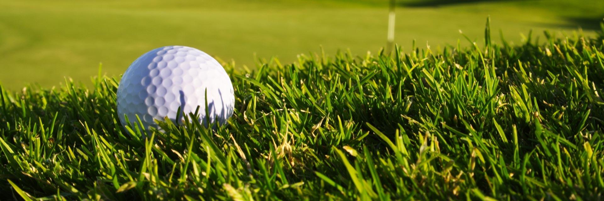 transconagolf's profile banner image