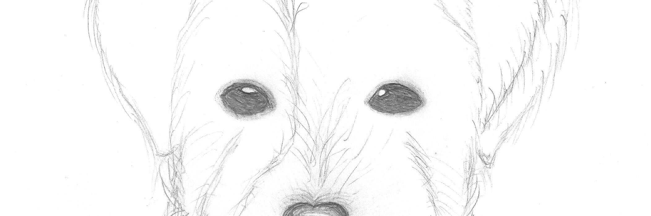 Odd Jostein Svendsli banner