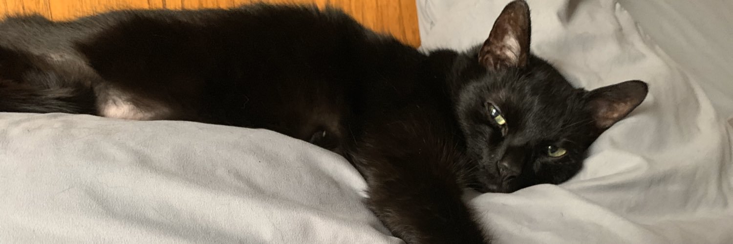 devmgallagher's profile banner image