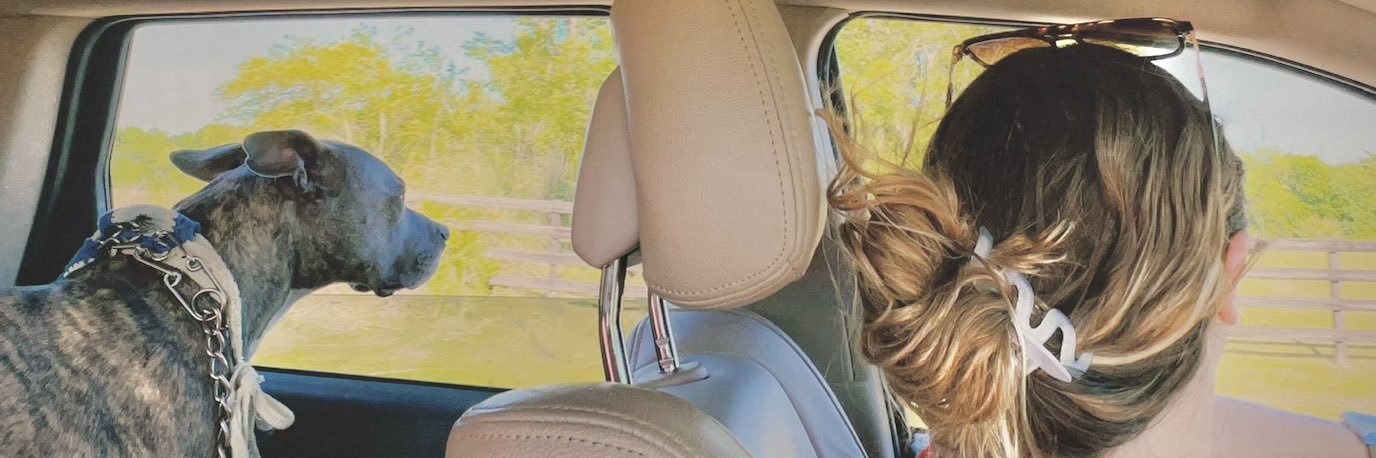 morganarnoldd's profile banner image