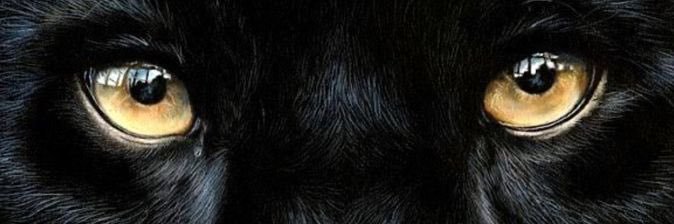 badgalpv_'s profile banner image